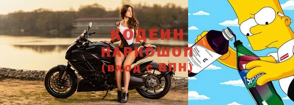 стаф Киренск
